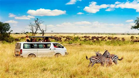 Get Best Wildlife Safari At These Destinations