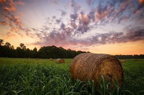 Country Sunrise Photograph by Mark Guinn | Fine Art America