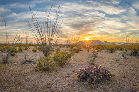 Chihuahuan Desert