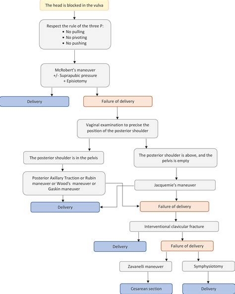 Shoulder Dystocia Management