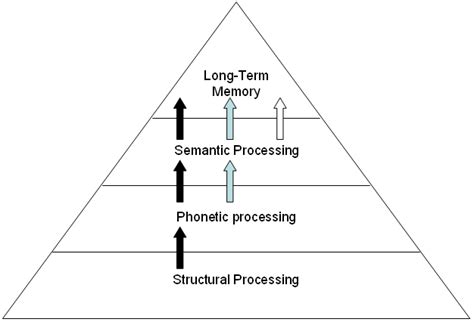 Levels of Processing Model Diagram | Quizlet