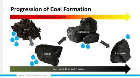 Exploring Coal Coal Formation and Composition Exploring Coal