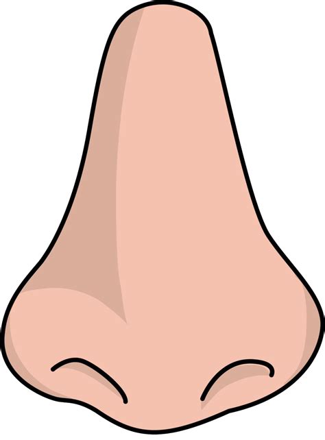 Nose PNG Transparent Images - PNG All