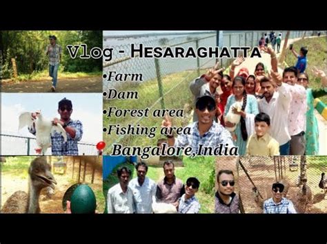 Vʟᴏɢ-ℍ𝕖𝕤𝕒𝕣𝕒𝕘𝕙𝕒𝕥𝕥𝕒 |📍Bangalore,India| farm,forests,dam,Fishing - YouTube