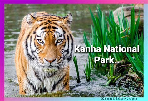 Kanha National park | Where is kanha national park located | | Krantidev