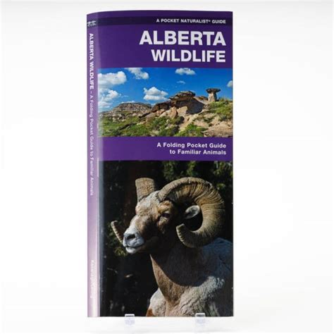 Alberta Wildlife: A Folding Pocket Guide to Familiar Animals - RAM Shop