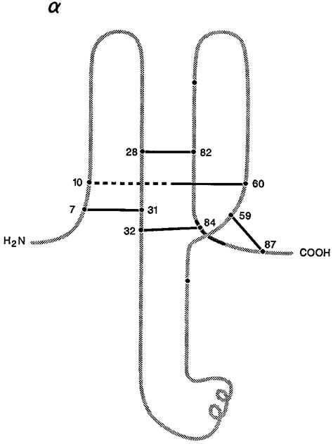 Disulfide bond assignments of the common human subunit. | Download Scientific Diagram