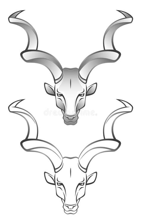 Antelope Head Stock Images - Image: 16322044