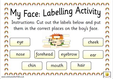 MY FACE: LABELLING ACTIVITY (BOY)
