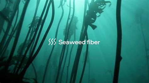 Seaweed fiber | PANGAIA | #Pangaia - YouTube