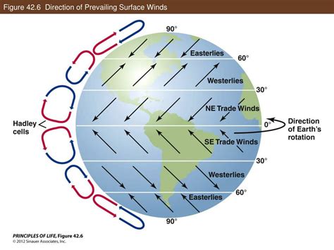 PPT - Organisms in Their Environment PowerPoint Presentation, free ...