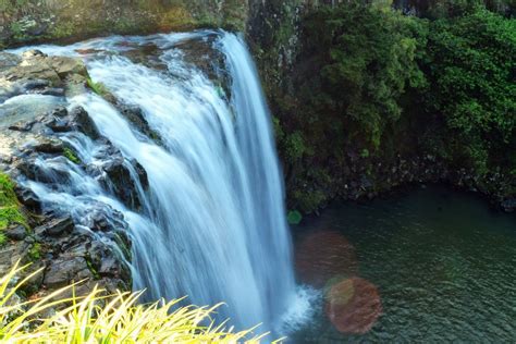 Whangarei Falls in Northland - Day 337, Part 1 - NZ Pocket Guide