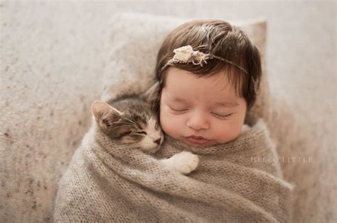 This Baby & Kitten Cuddling Are So Cute It'll Kind of Hurt Your Eyes | Cuteness