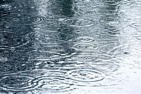 5 Weird Facts About Rain | Reader's Digest