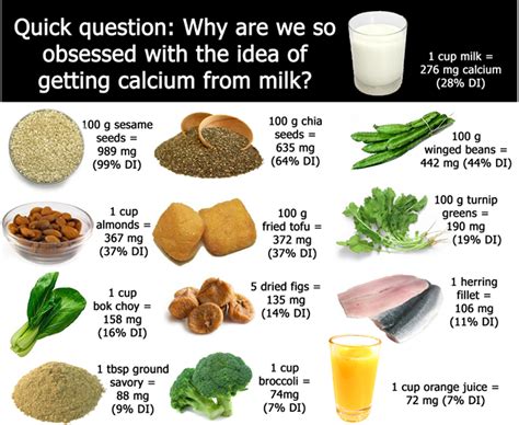 Health Care 84: MILK-FREE SOURCES OF CALCIUM FOR OSTEOPOROSIS PREVENTION