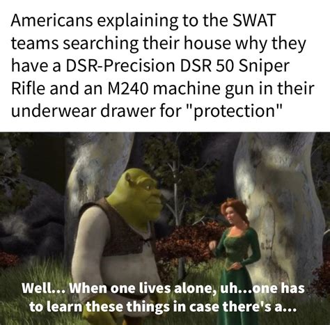 Making a meme from every line in Shrek (2001) Day 495 : r/Shrekmemes