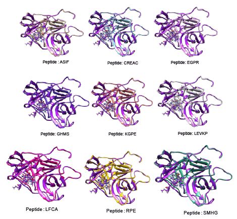 Structural Analysis and Molecular Modeling Studies of Fatty Acids and Peptides Binding with NS2B ...