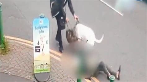 Police issue appeal as CCTV shows moment dog attacks elderly woman and labradoodle | News UK ...