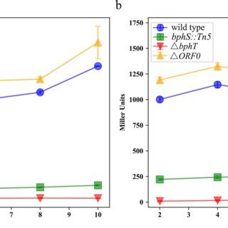 The effect of DE and BP on the expression of the lacZ gene... | Download Scientific Diagram