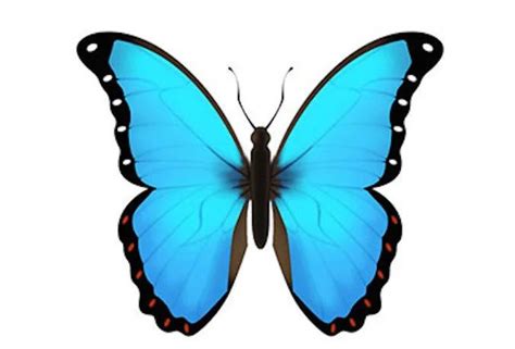 What Does 🦋 Butterfly Emoji Mean?