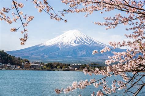 Mount Fuji, Hakone, Lake Ashi, and More Tour from Tokyo - Tourist Journey