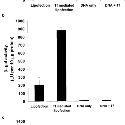 Tf-mediated lipofection is an efficient method of transferring pCMV-gal... | Download Scientific ...