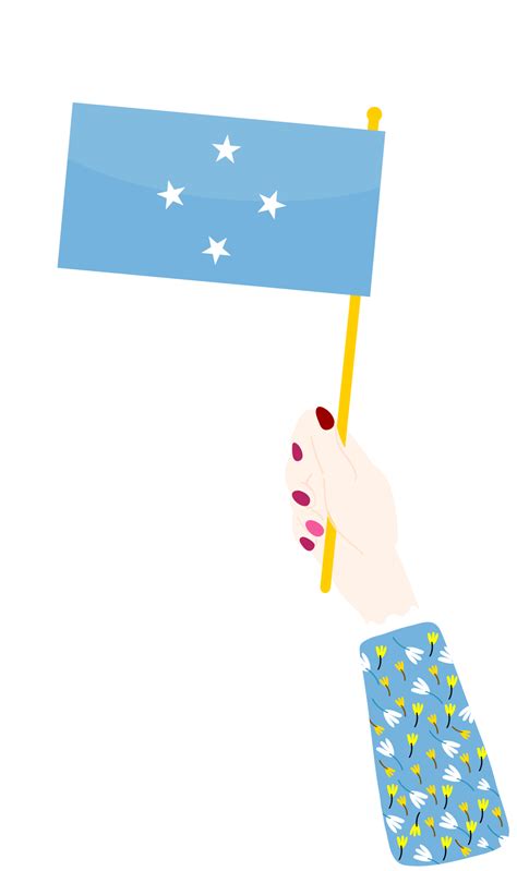 Micronesia Flag hand drawn,Dollar hand drawn 11004764 PNG