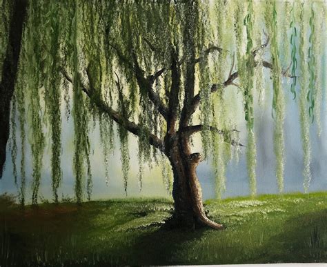 Willow in the Glade Original Oil Painting on Canvas 20 X 16 - Etsy UK