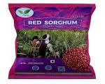 Buy Iagrifarm Red sorghum millet - 1 Kg - Whole Grain) (Cholam | Red ...