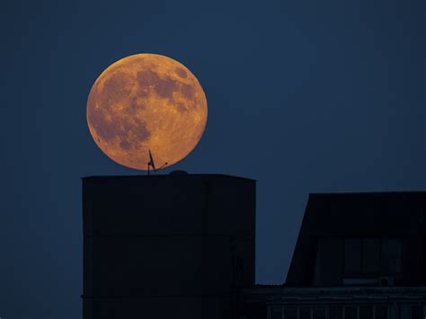 Biggest moon of the century will shine bright this month | FOX31 Denver