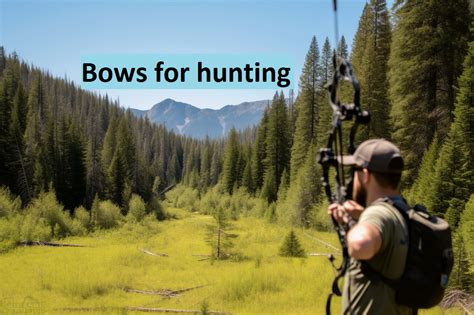 Bows for Hunting: A Comprehensive Guide to Choosing the Right Weapon ...