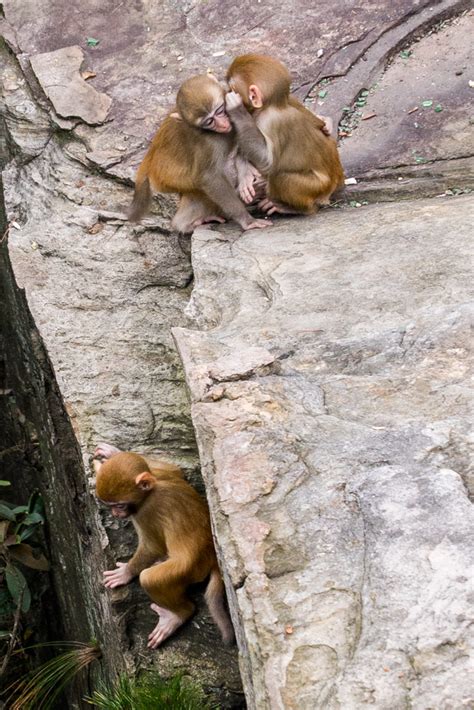 Zhangjiajie National Park: 30 Photos That Will Make You Pack Your Bags ...