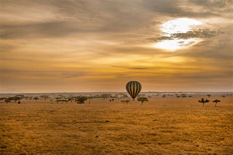 Serengeti National Park – Instyle Africa Safaris