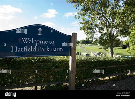 Hatfield park hi-res stock photography and images - Alamy