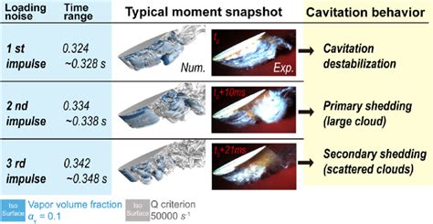 Schematic summary of loading noise impulse and corresponding cavitation ...