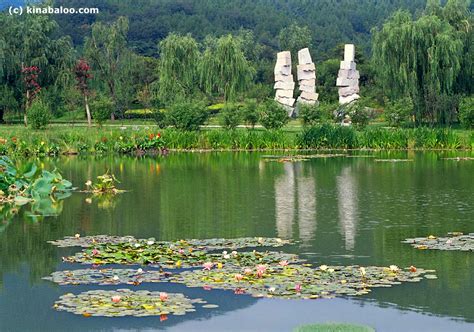 Beijing Botanical Garden, Beijing (120 photos) part 2