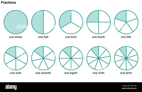 Cerchi diviso in porzioni per illustrare le seguenti frazioni, una ...