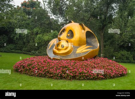 Panda Research Base, Chengdu, Sichuan, China Stock Photo - Alamy