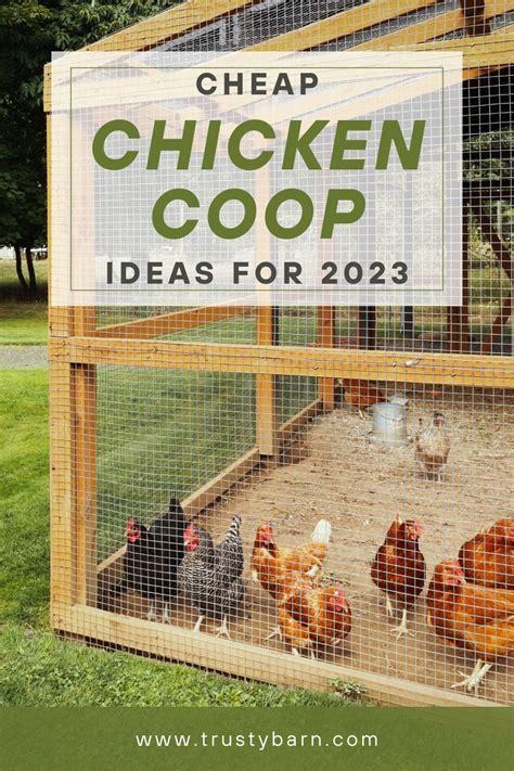 Chicken coop and ideas – Artofit