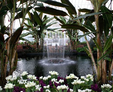 Phipps conservatory | Phipps conservatory, Beautiful places, Phipps