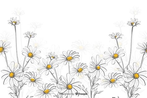 Daisies decorative background watercolor style | Free Vector