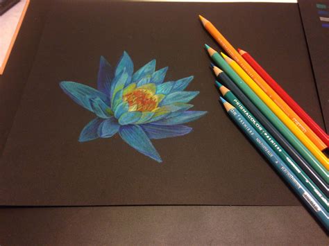 Blue lotus in the moonlight. Done with Prismacolor Colored pencils on black paper. … | Black ...