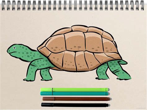 Turtle Drawing » How to draw a Turtle