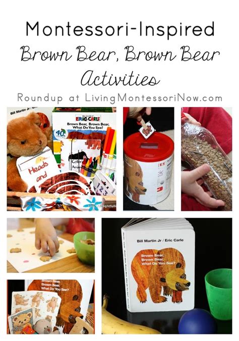 Montessori-Inspired Brown Bear, Brown Bear Activities