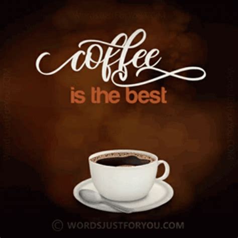 Need Coffee Coffee Is The Best GIF - Need Coffee Coffee Is The Best ...