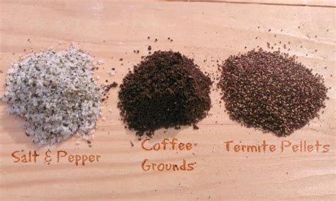 How to Identify Drywood Termite Droppings | Termite droppings, Drywood ...