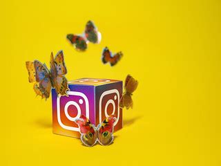 Social Media Butterfly - Instagram | All content posted in t… | Flickr