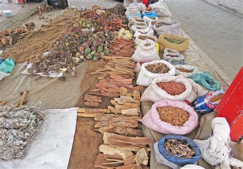 Today is African Traditional Medicine Day | George Herald