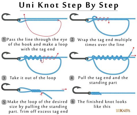 Tying a Uni Knot: Instructions and Diagram