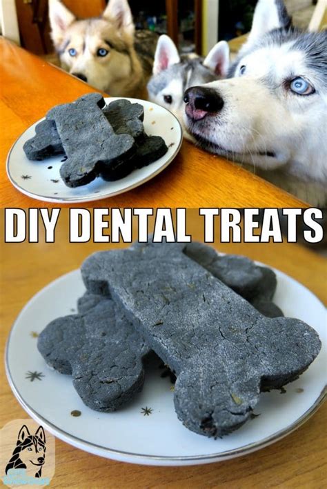 DIY DENTAL TREATS FOR DOGS | Gone to the Snow Dogs